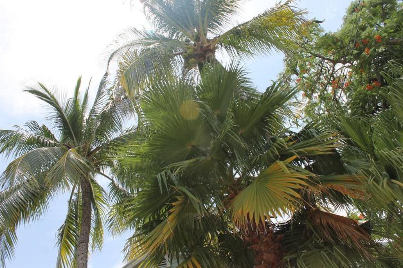 酒店 The Grand Guesthouse