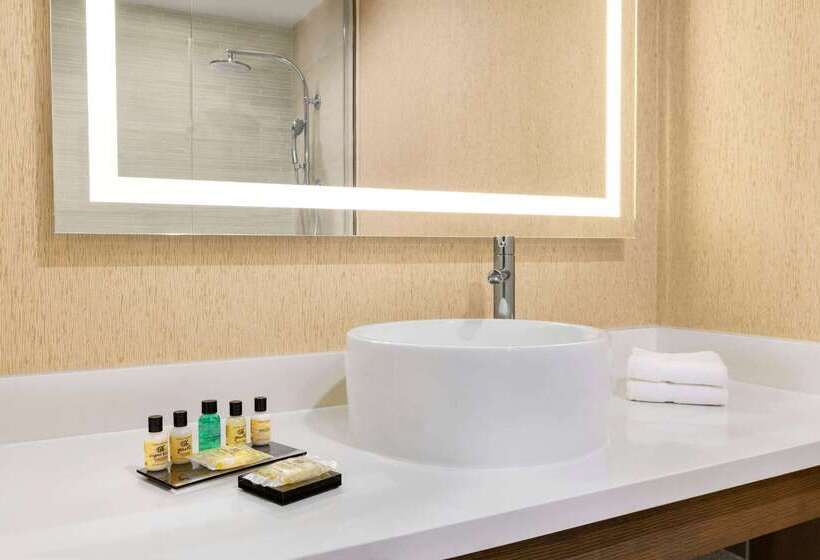 ホテル Wyndham Anaheim