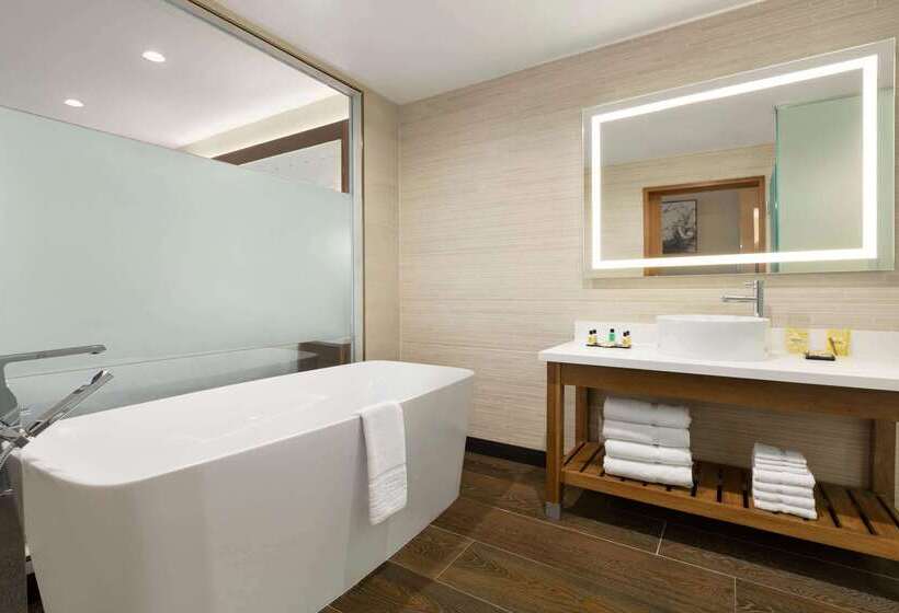 ホテル Wyndham Anaheim