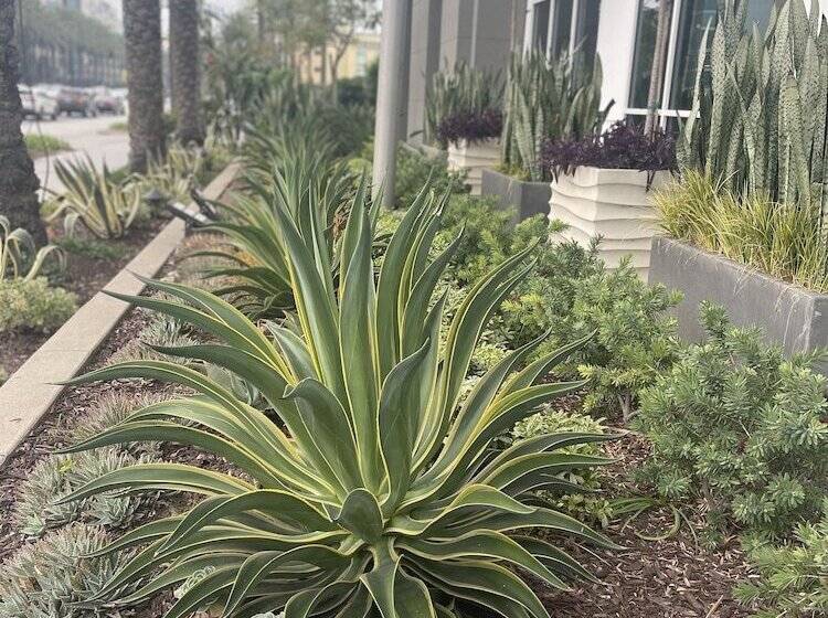 호텔 Wyndham Anaheim