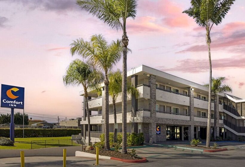 호텔 Comfort Inn Sea World Area