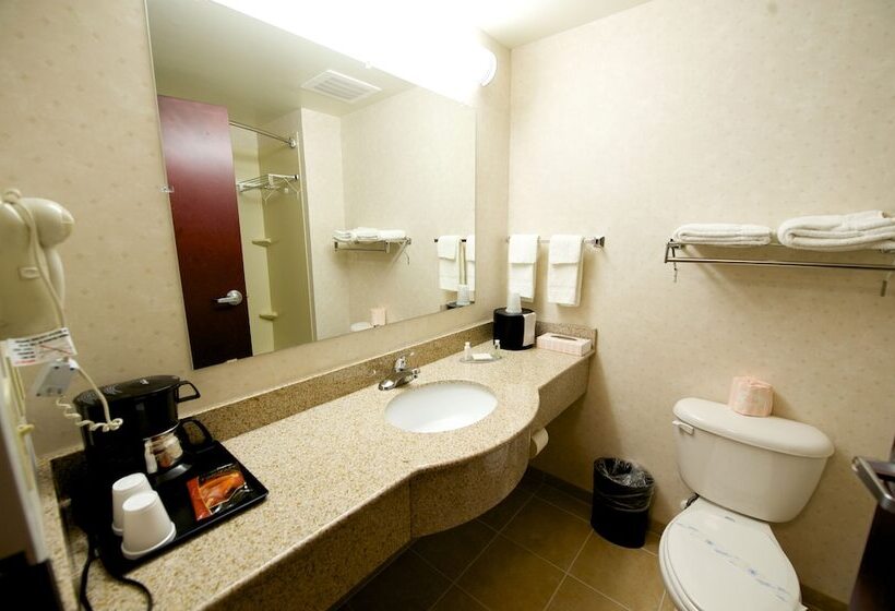 فندق على الطريق Executive Inn & Suites Upper Marlboro