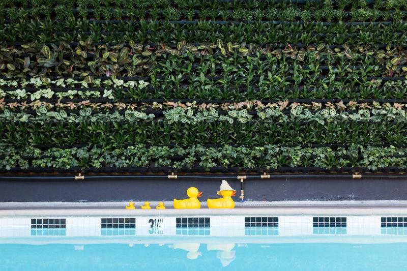 מוטל Short Stories