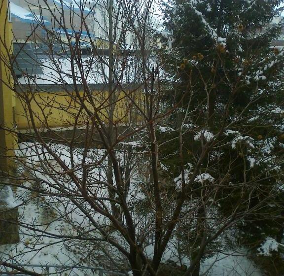 Hostal El Duende Blanco