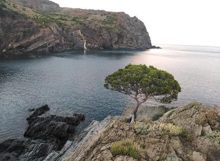 Hostal Sant Jordi