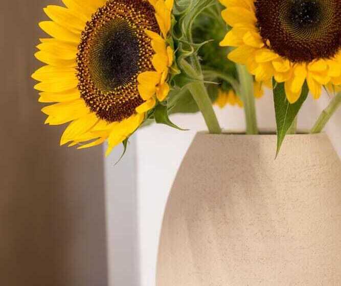 בית מלון כפרי Aelios Design