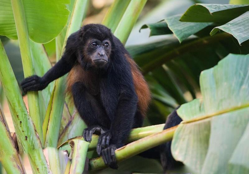 فندق The Coast Beachfront