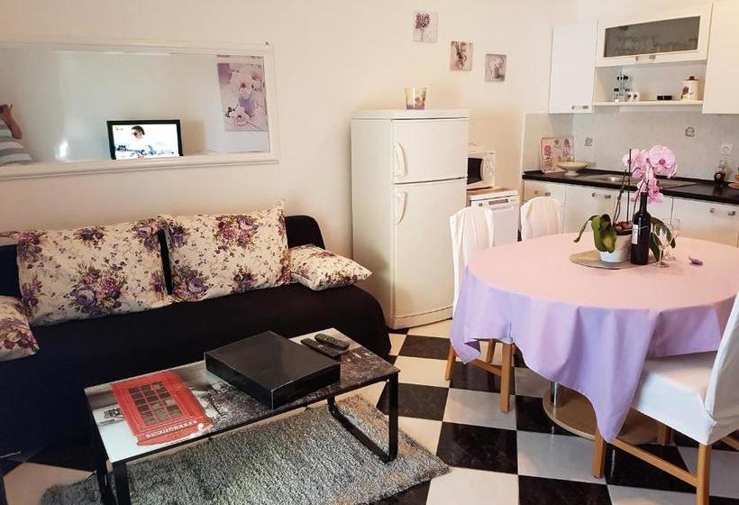 Apartments Anita Punta Skala