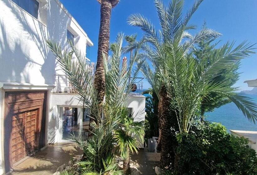 צימר Condesa Del Mar Adults Only