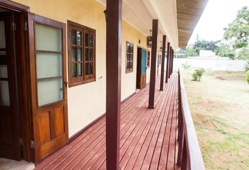 Bed and Breakfast Praia Accommodation