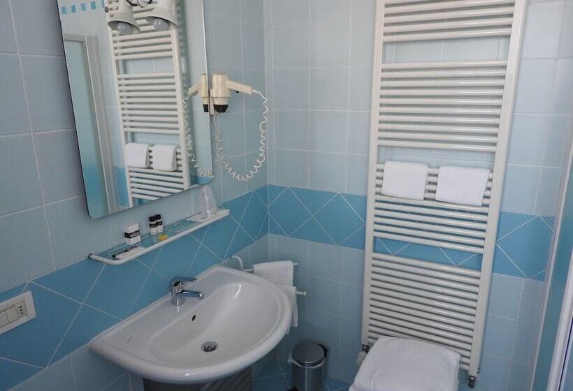 فندق فئة نجمة واحدة Albergo Centrale