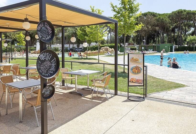 Отель Càmping Valldaro