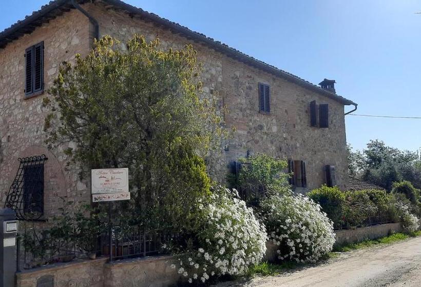 בית מלון כפרי Antico Casolare