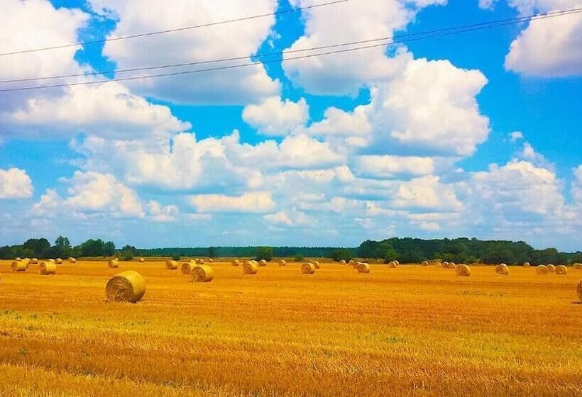 פנסיון Schloss Dretzel