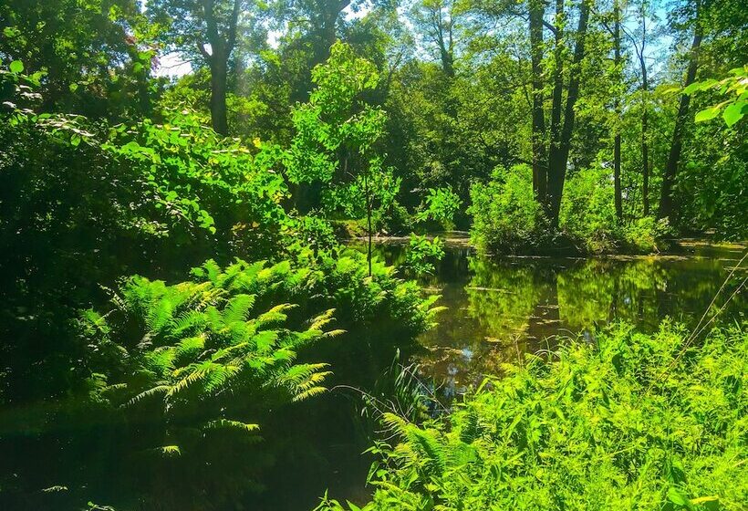 פנסיון Schloss Dretzel