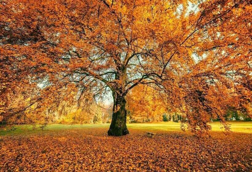 פנסיון Schloss Dretzel