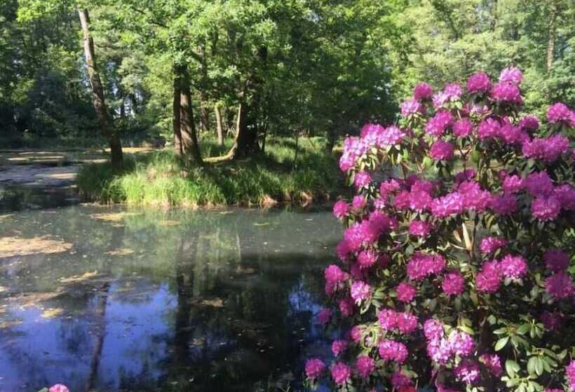 פנסיון Schloss Dretzel