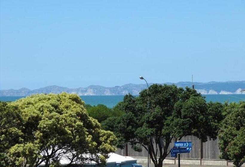 הוסטל Napier Art House Backpackers