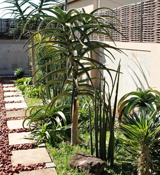 צימר Aloes No.21