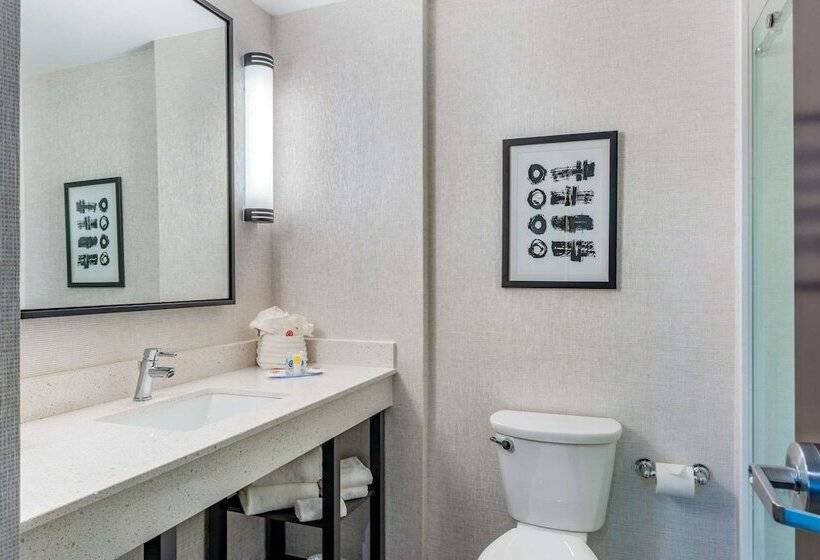 Comfort Inn & Suites Miami International Airport