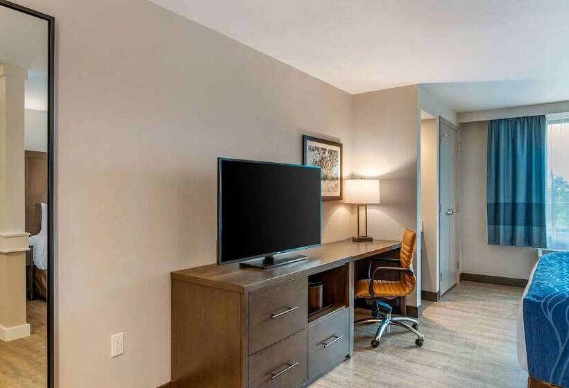 Comfort Inn & Suites Miami International Airport