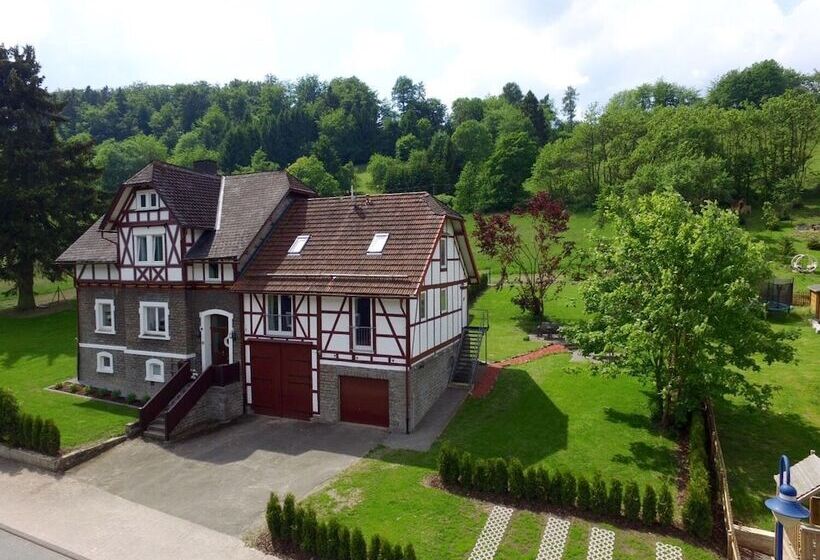 Forsthaus In Willingen Schwalefeld App.2