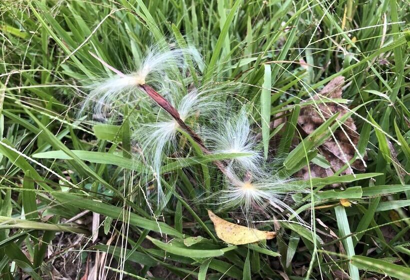 בית מלון כפרי Ahaspokuna By Eco Team