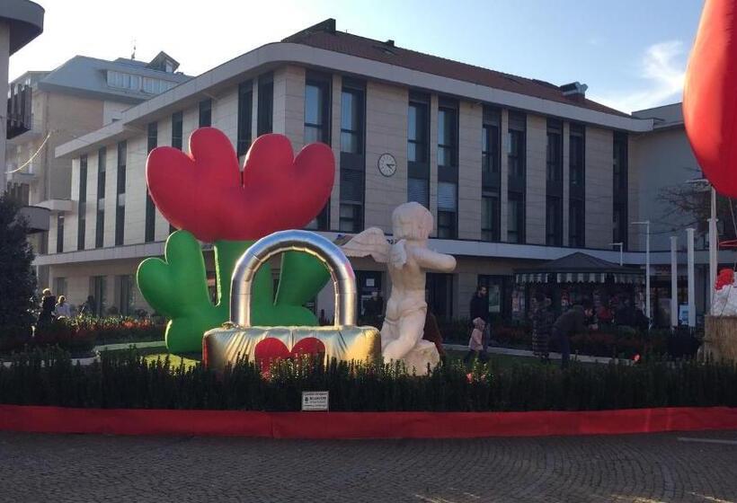 ホテル Dea Della Salute