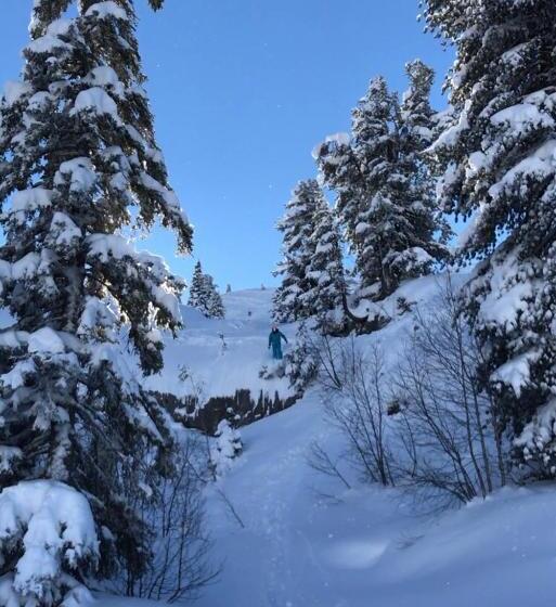 فندق Hôtel Lapiaz & Spa   Flaine