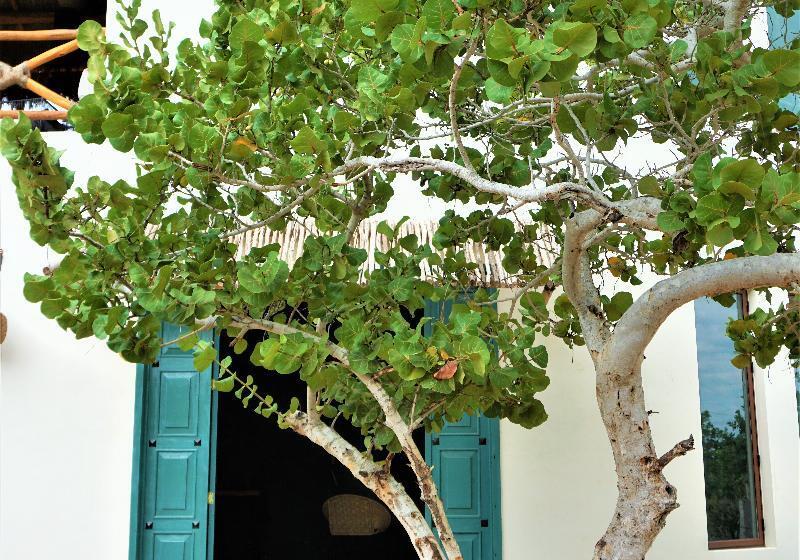 هتل La Puerta Azul Beachfront  Adults Only