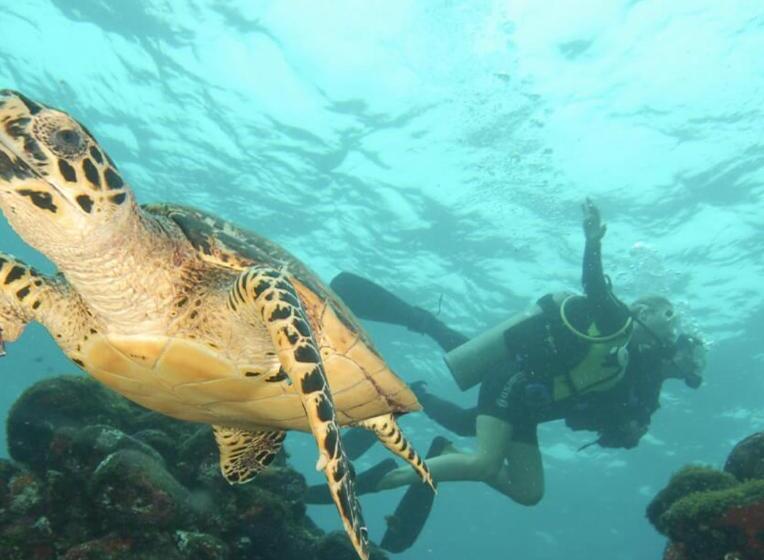 בית מלון כפרי Mai Chameguin Hospedagens Paraty