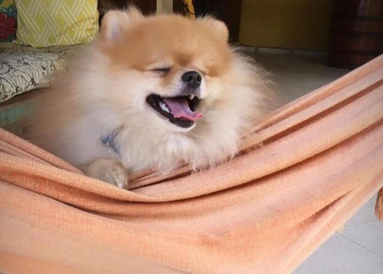 בית מלון כפרי Mai Chameguin Hospedagens Paraty