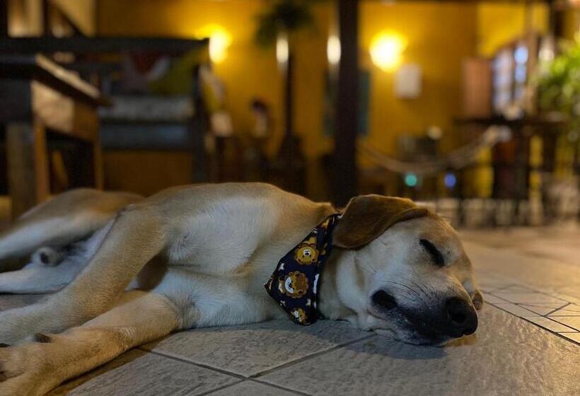 בית מלון כפרי Mai Chameguin Hospedagens Paraty