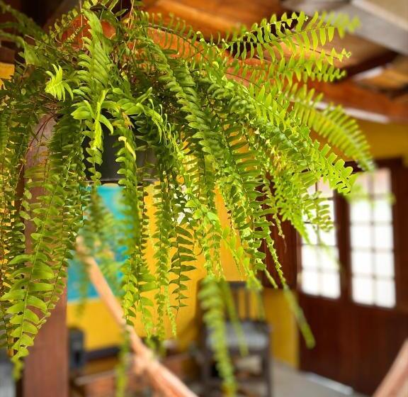 בית מלון כפרי Mai Chameguin Hospedagens Paraty