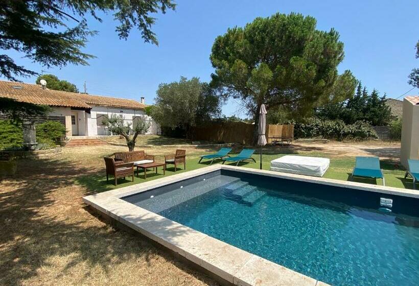 Le Cyprès De Casimir