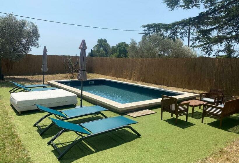 Le Cyprès De Casimir