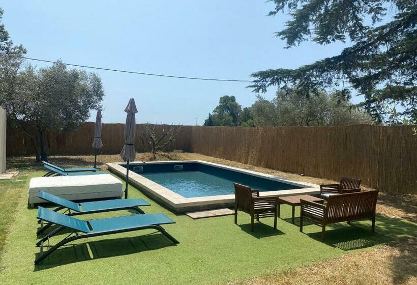 Le Cyprès De Casimir