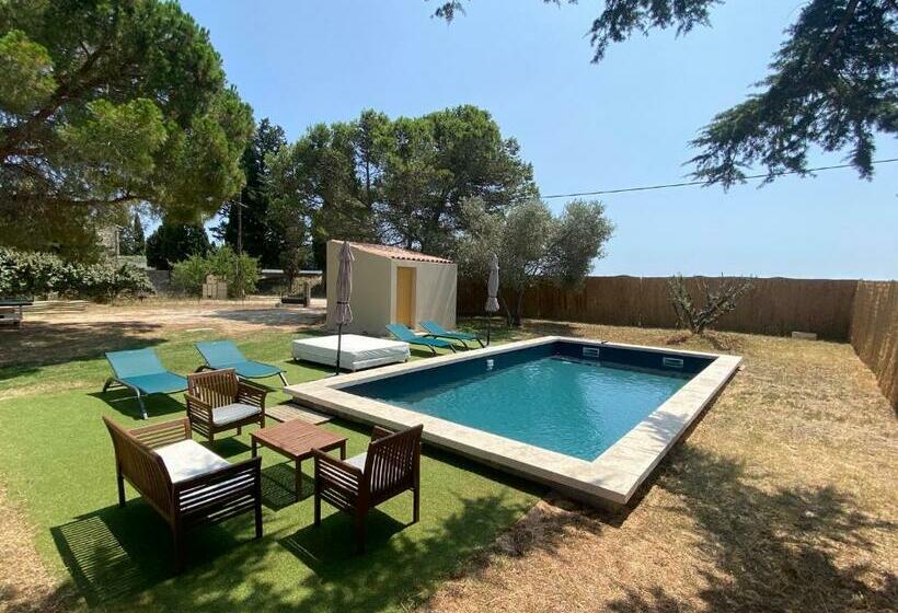 Le Cyprès De Casimir