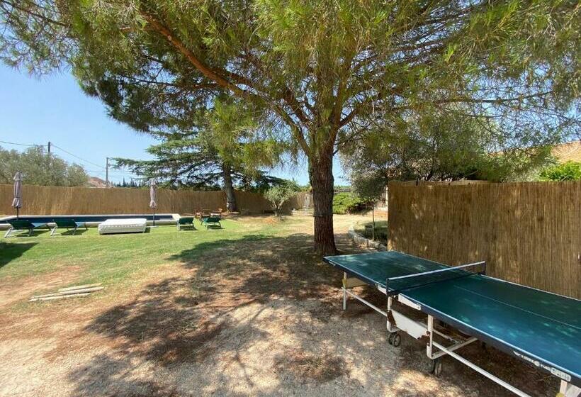 Le Cyprès De Casimir