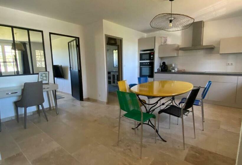 Le Cyprès De Casimir