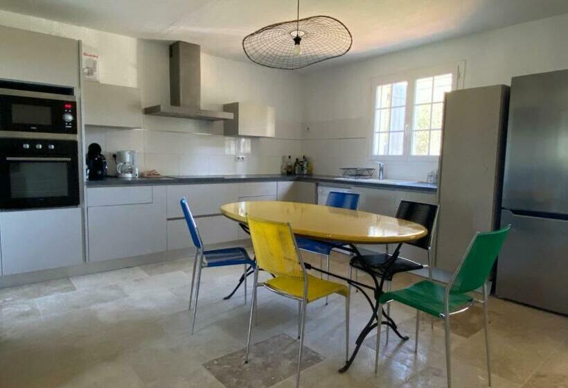 Le Cyprès De Casimir