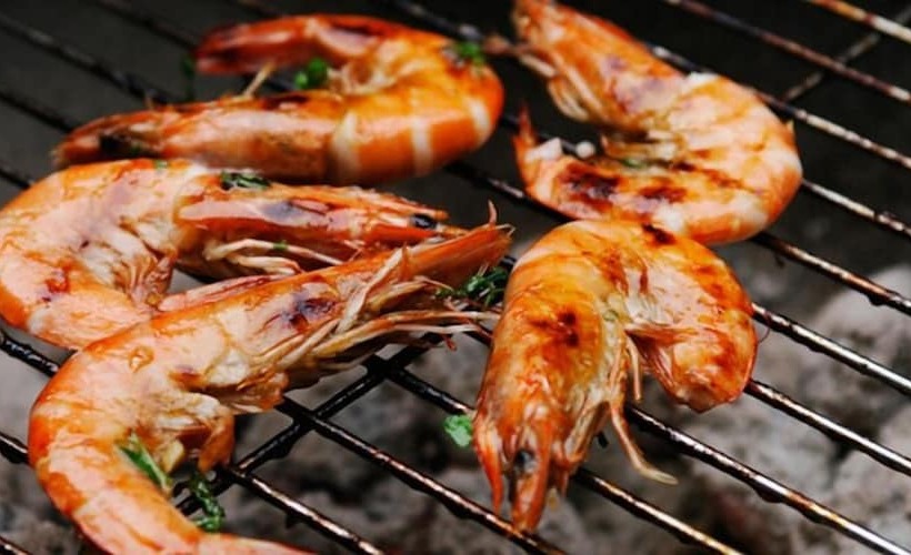 پانسیون Dar Yamama