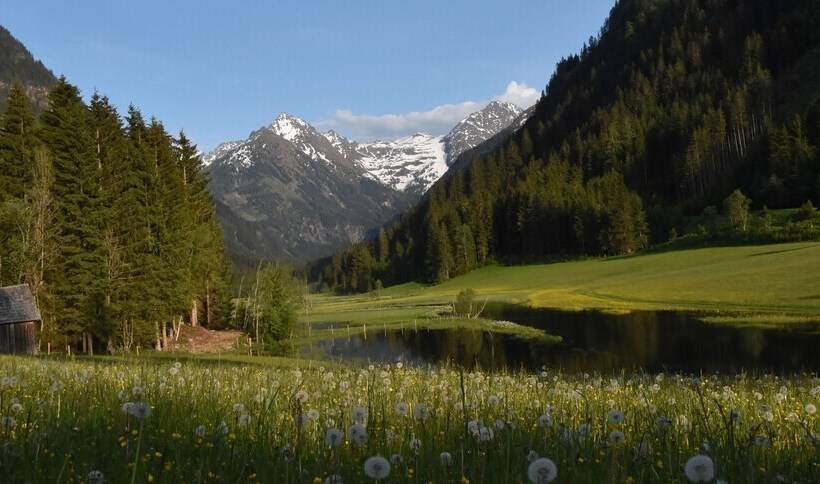 ペンション Gasthof Tetter