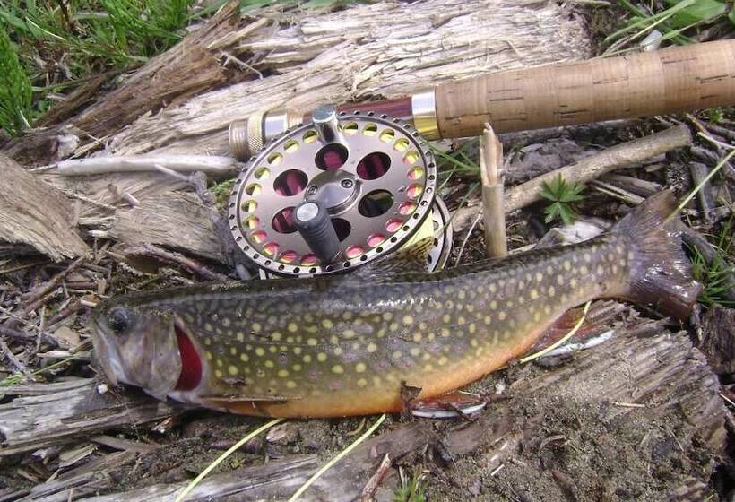 پانسیون Gasthof Tetter