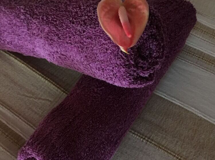 پانسیون Mango Lodge Gambia