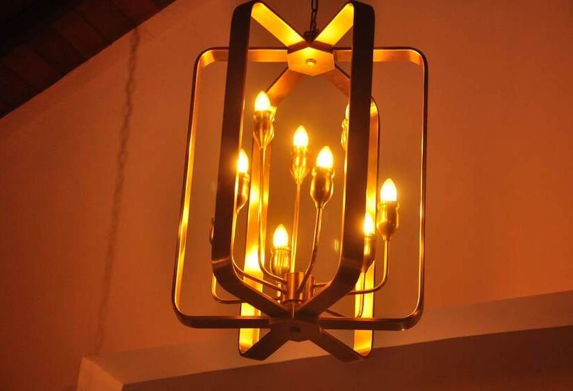 膳宿费 The Roxbury