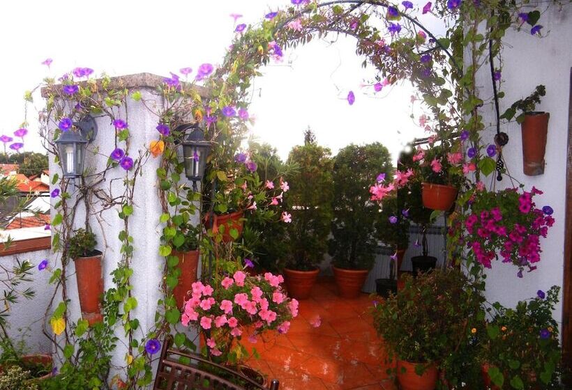 بنسيون Villa Lucia   Apartments&rooms