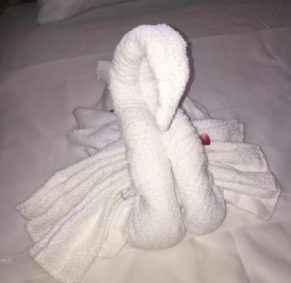 פנסיון Matus Guest House