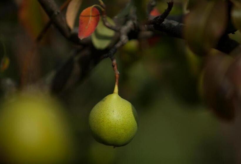 Ostello Del Monastero
