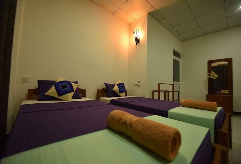 مبيت وإفطار The Summer Resort